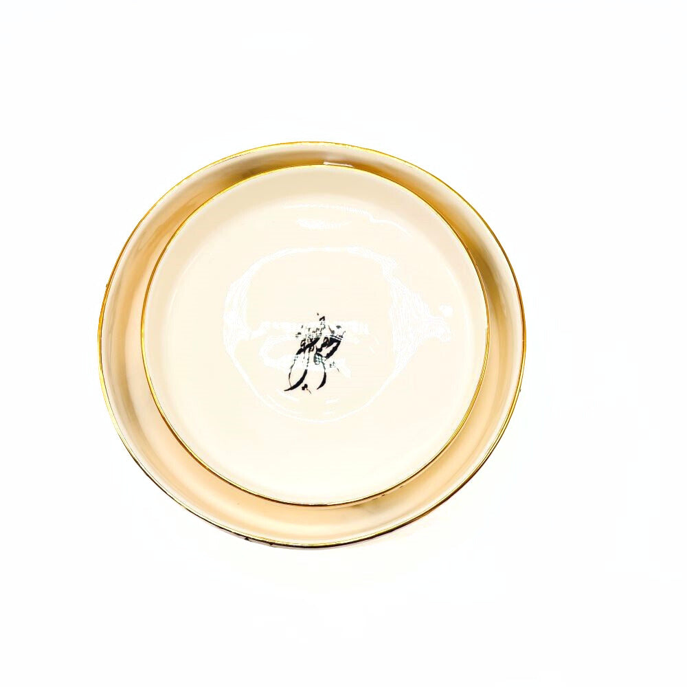 Sedaye Sokhane Eshgh Dish image 2